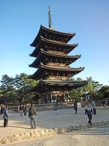 宿は興福寺の近くでした。会場に向かう道中、五重の塔を背景に外国人男性が写真を撮っていたので、撮影終了まで待機。外国人の会話（sugyonによる関西弁風意訳）
A、Ｂ「...」
（パチリ）
Ａ「何か言うてや」
Ｂ「何か言わなあかんかったん？」
Ａ「俺、こんなとこにじっと立ってて、モアイみたいやん！」
思わずこちらも大爆笑。