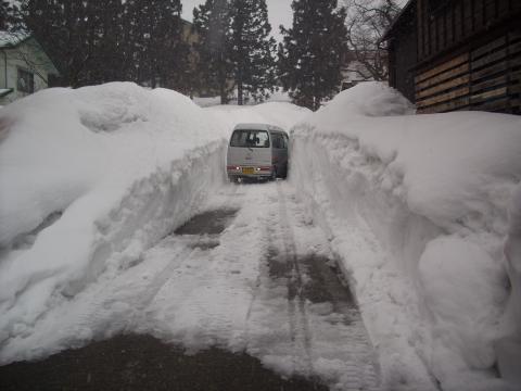 まだ実家にはこんなに雪があります