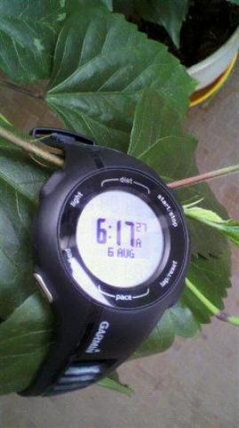 3日連続RUN