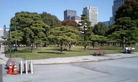 皇居外苑の中にある芝生の公園
サラリーマンやＯＬさんがランチしてます