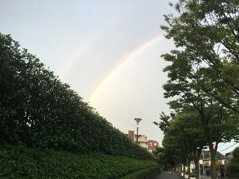 二重の虹が見えました。