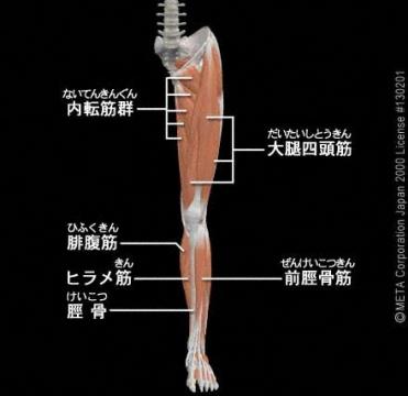 ドクターストップ