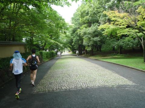 中盤の難所
ここで勢いをつけてしまうと脚に来てしまいます。
石畳を走らないのがコツです。