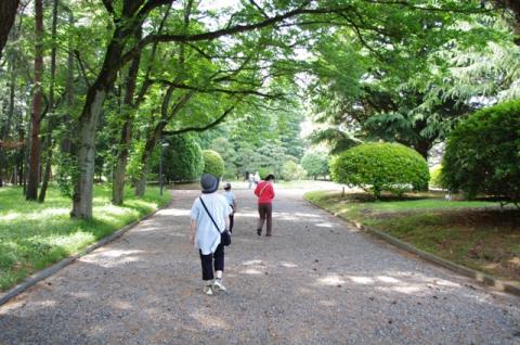 たくさんの木々に囲まれた広くてとても綺麗な庭園でした