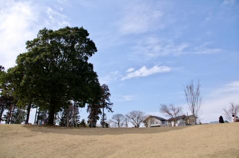 春の日差しに照らされた桃山公園