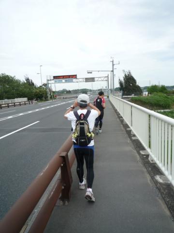 新葛飾橋を渡り、やっと千葉県に戻ってきました。
ここから、また向かい風との戦いです。