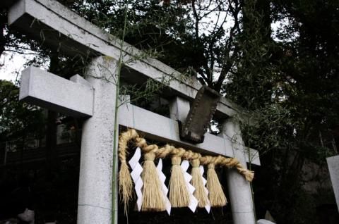 地元柴崎神社へ初詣