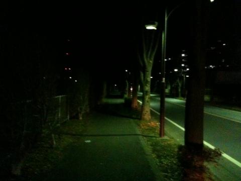 北柏ライフタウン内の歩道
薄暗い街灯の明かりしかない（人間の目にはもう少し明るく見えるが）