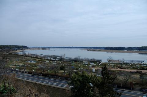 手賀沼の水も温んできた