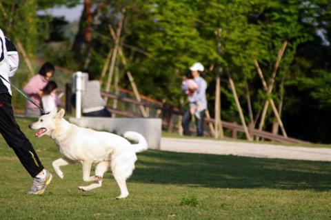 カミさんのカメラワークの方が先に限界が来たようで助かった・・・