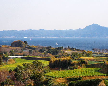 大根畑,浦賀水道,鋸山