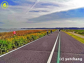 8キロ付近 柏市側の遊歩道
