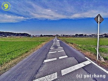 11キロ過ぎ 田んぼの中の一本道