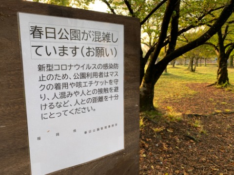 でも公園の掲示板には、消えてしまったイベントの開催予定表に替わって、こんな注意書きが・・・ たしかに早朝でさえ人出が増えています。かなり広い公園なんですが、それでも日中は混雑するのだと思います。 以前のような普通の生活は、いつ戻ってくるのでしょうか?