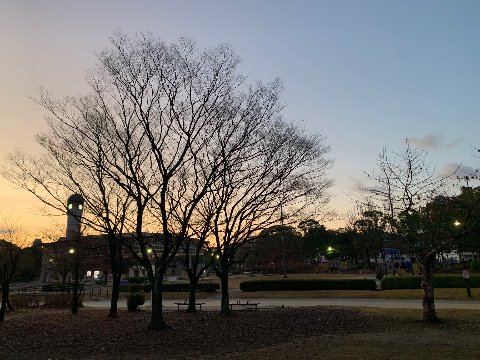 今朝は3℃。結構着込んでフルスピードで歩いても汗をかきませんでした。