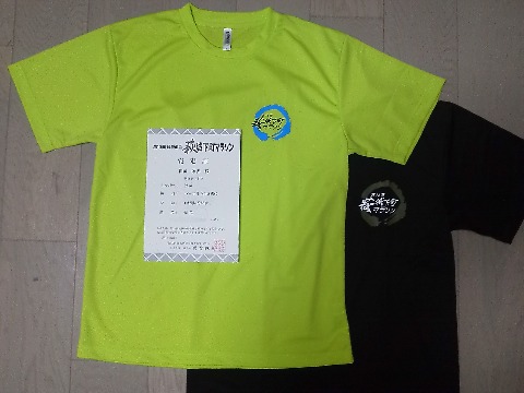 写真は，先週に引き続き，Tシャツの新旧対比です．前回2011年の黒色に比べて今回はシンプルなデザインは同じでも鮮やかな黄緑色でした．あと完走証にチーム名があるのは珍しい気がします．