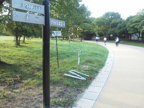 ここは春日公園600m地点です.ここいらの内側は大きな芝生広場です.