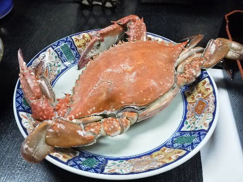 せっかくの記念写真？なのに，大きさがわかりませんね．結構大きかったんですよ．
