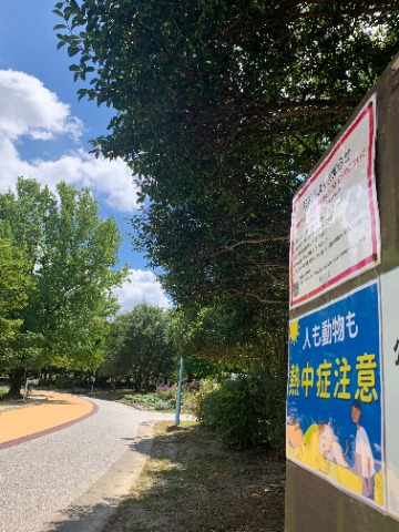 周回路脇のボードにも熱中症注意の張り紙が。 青空の下の走路が暑そうでしょう?