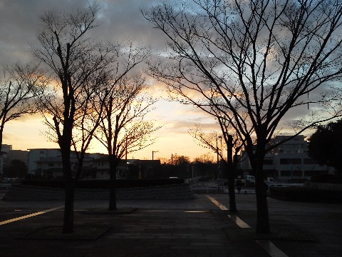 今朝の夜明け前の春日公園です．こんな光景がみられる時刻が，これからだんだん早くなるわけですね．