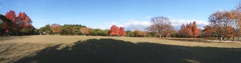 さてこの写真、うまく見てもらえますかね? パノラマ写真にチャレンジしてみました。 地球の丸さが分かるでしょ?(ウソです)