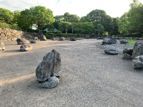 今日は春日公園のちょっと珍しい風景をご紹介しましょう。私は初めて見ました。　この石庭？のような景色、どこだかわかりますか？　自然風庭園の池なんですが、からからに干上がっています。　今朝は昨夜の大雨で少し水がたまっていたので、これはお盆ごろの写真です。　水がないと全然違って見えますね。