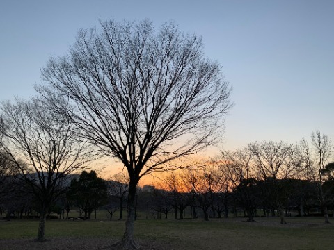 朝早く出かけたのは、天気予報で快晴となっていて、真っ暗闇からだんだん明るくなっていく景色が期待できたからでもあります。こんなシルエットを見ることができました。