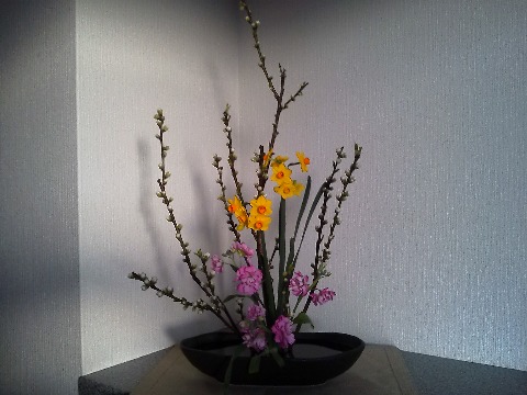 今回のお花,つぼみがたくさんついているのは,梅?それとも桃? 調べてみたら,特徴からは桃なんですが,色がねえ・・・ 白色もあるそうですが,画像ではやっぱり薄いピンクです.こんな真っ白の桃もあるんでしょうか・・・?