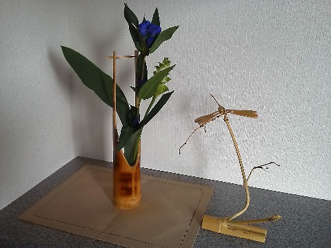 さて今日の玄関です.日曜日にフリマに出店したのですが,そこで全く偶然にお隣の区画で竹細工を出されていたのが,共通の知人を介しての知り合いでした.ということで,花入れとトンボの細工をいただいてきて,早速リンドウを活けてみました.トンボは,ヤジロベエのようにくちばしの1点でとまっているんですよ.