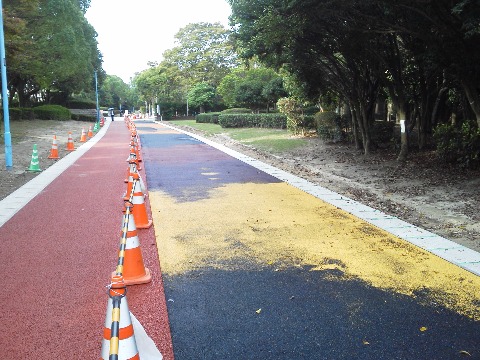 これがカラフル路面です．