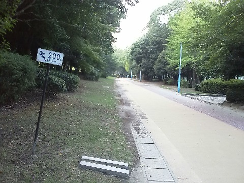 ここが春日公園コースの200m地点.このコースの内側3分の2くらいはクッションの効いた舗装なので,ベアフットランでも大丈夫そうです.