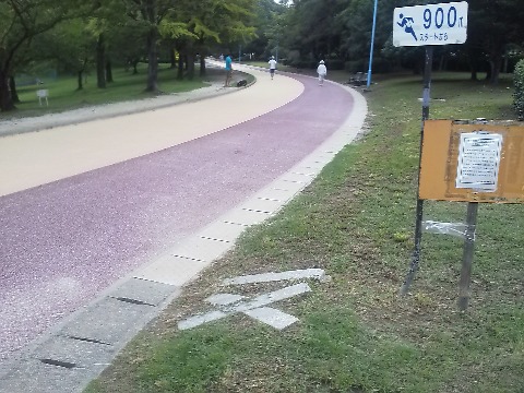 ここは春日公園900m地点です.この近くには「スズメバチ注意!」の表示もあります.