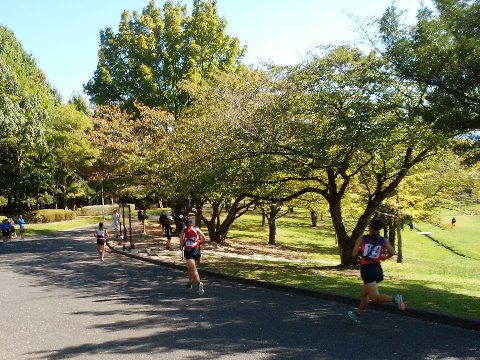 同じ公園内では筑紫地区の中学校の駅伝大会が開催され、大賑わいでした。 これは女子の部、たぶん1区間2kmくらいのコースのようでした。皆さん、えらく速いです。