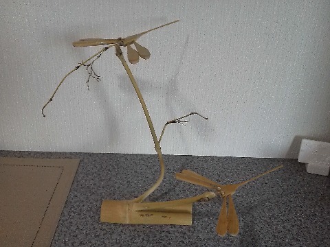さて,以前ご紹介した玄関のトンボちゃんに,先日お嫁さんが来ました.一匹では寂しかろうと友人が連れてきてくれました.下にとまっているのがちょっと小ぶりなお嫁さんです.Y武さん,ありがとうございました.