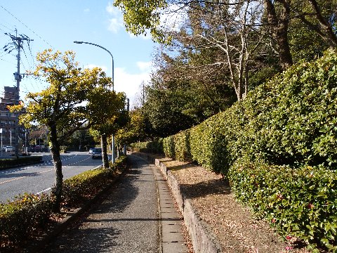 こんな歩道がつながっていて、こちらもノンストップで走れます。