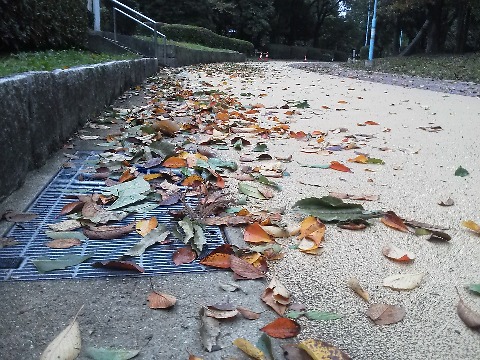 今朝の春日公園です.