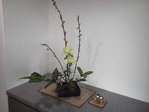 もうすぐ3月,桃の節句です.玄関のお花に桃が加わり,ちっちゃなお雛様も登場しました.ちゃんとした雛人形もあるのですが,近頃は娘も家に寄りつかないので,たぶん出さずじまいになりそうです.