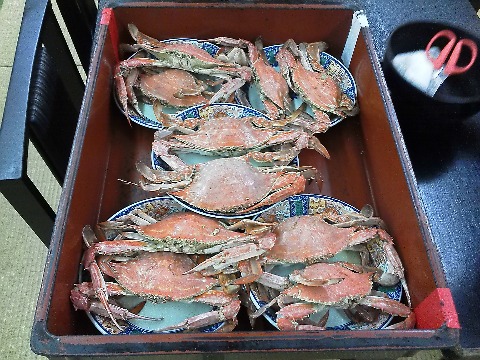 午後からは,春にも行った佐賀県太良町へお出かけしました.竹崎蟹は冬の子持メスが有名ですが,夏は若いオスが身が締まって美味しいのだそうです.うちのグループでこれだけの茹で蟹を食べ尽くしましたが,他にも刺身・天ぷら・大吟醸蒸しと蟹三昧でした.