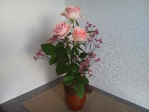これは玄関のバラ&?です.わざわざアップするほどのものでもないのですが,ネタ不足なので悪しからず・・・