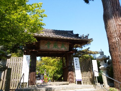 武蔵寺の山門です。最初はこれで「ぶぞうじ」?「むさしでら」でしょう!と思っていましたが、もう大丈夫です・・・