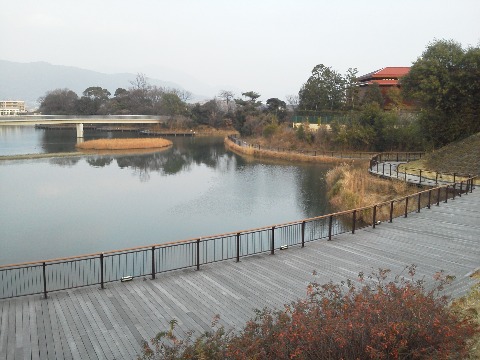こんな湖畔デッキや向こうに見える池を渡る橋も通りました.