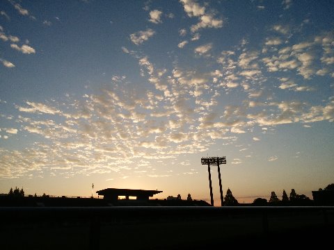 この写真は、まだ肌寒い日の出前の東の空です。快晴の空も好きですが、秋らしい雲が朝日に輝くのもきれいです。