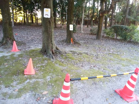 先週の土曜日にハチに刺されたエースさんのあんよは、走れる程度にまでは回復したそうで良かったです。 他の場所ですが周回路のすぐ脇でこんな表示があります。気をつけなきゃ、ですね。