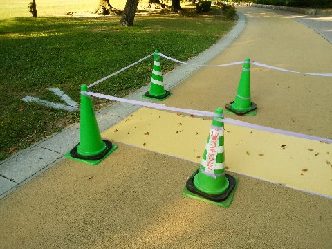 こんな感じです。