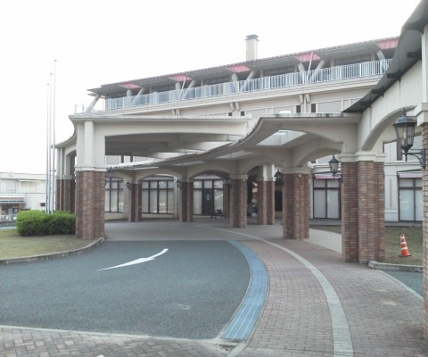 この一見リゾートホテルのような建物は熊本機能病院です.母が昨年の骨折のあと,ここで2ヶ月ほどお世話になりました.