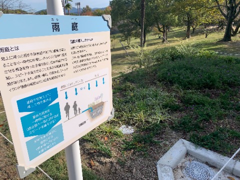 以前に工事中の様子をご紹介した「雨庭」の完成したところをアップしていませんでした。　実は結構前に完成していたのですが、ご紹介です。