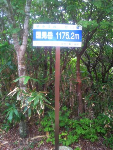 こちらの表示は1175.2M・・・・・同じ場所なのに???
ガーミンは1175Mだったのでこちらを信じよう!