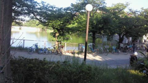 帰りは万代池公園を一周