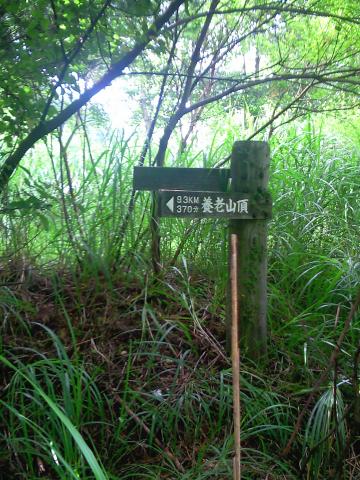 スタートすぐの案内9.3KM片道6時間コース?