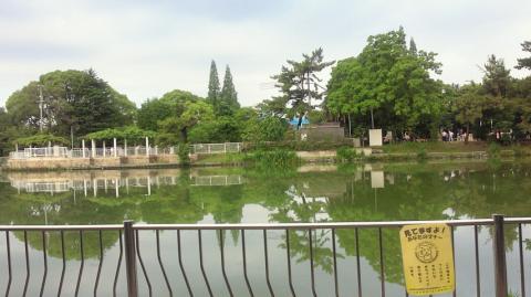 公園のなかは人だらけみんなでラジオ体操中